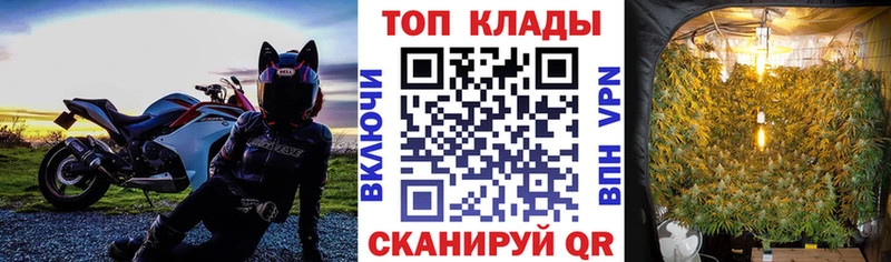 Купить наркотики цена Пошехонье ГАШИШ A PVP Cocaine Меф Каннабис