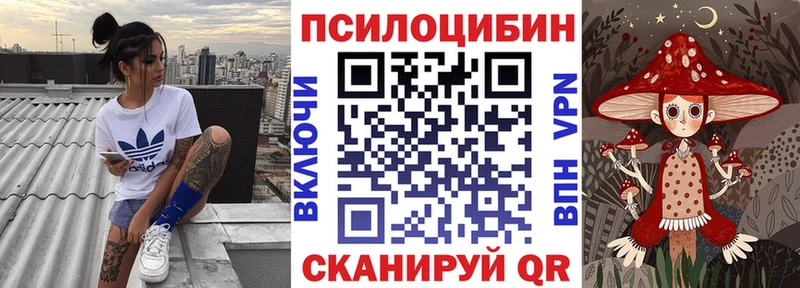Псилоцибиновые грибы Magic Shrooms  Пошехонье 